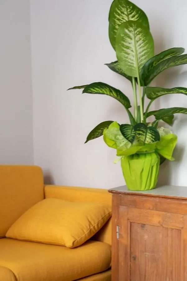 San Zanobi Family Suite In Florence